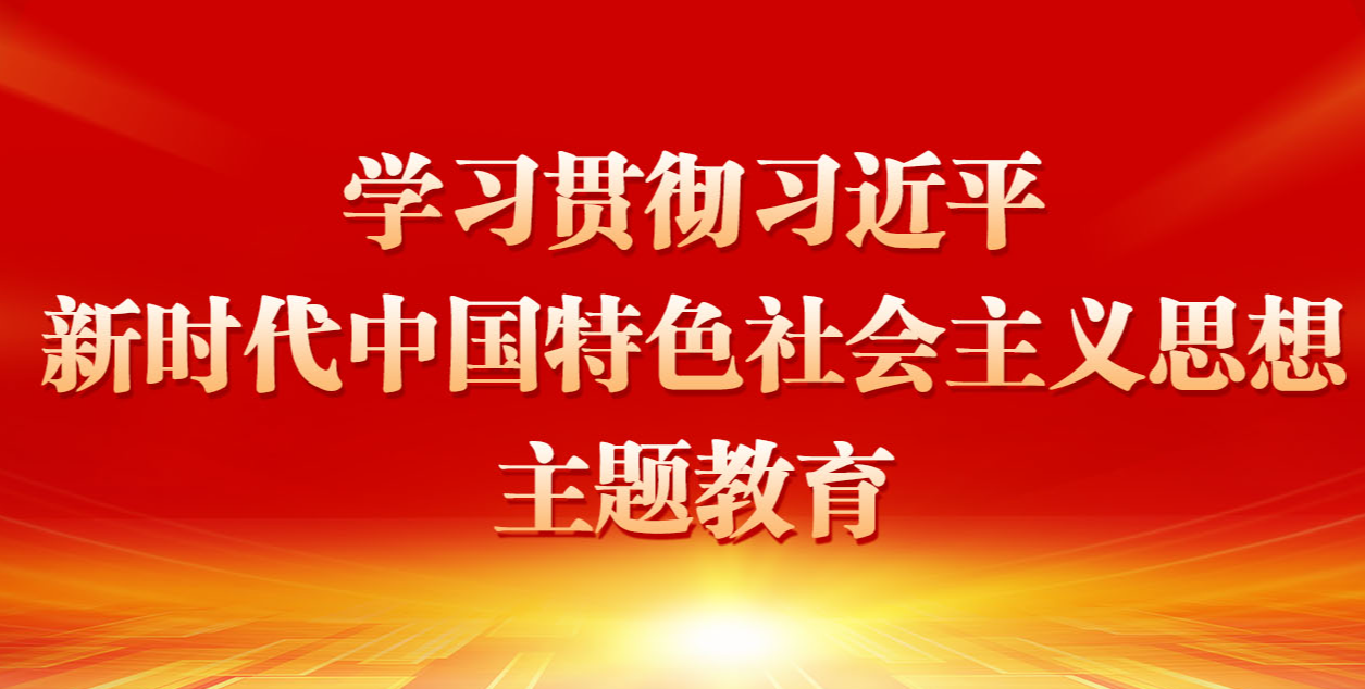 学习贯彻习近平新时代中国特色社会主义思想主题教育